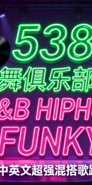538 跳舞俱乐部20 R&B HIPHOP FUNKY 中英文超强混搭歌路